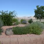 OTRA2013_2215 (July 22, 2013)